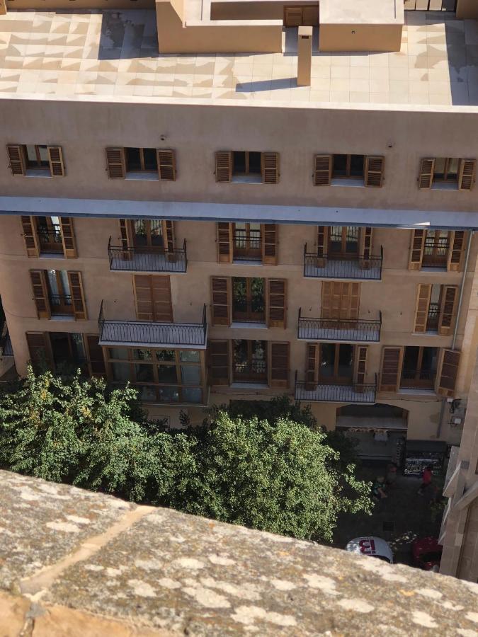 Vila Damunt Palma de Mallorca Dış mekan fotoğraf
