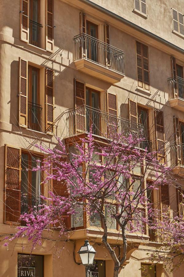 Vila Damunt Palma de Mallorca Dış mekan fotoğraf